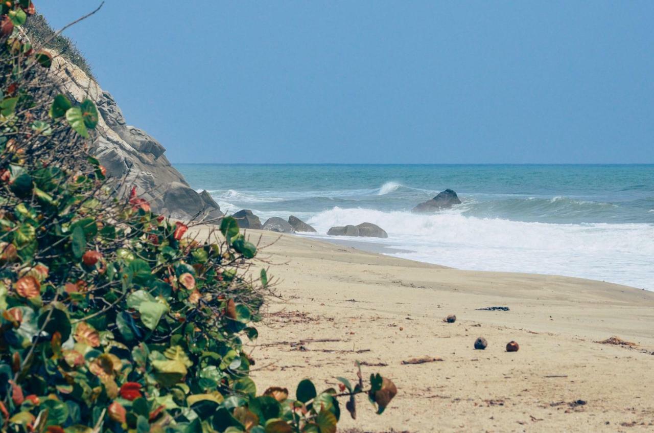 Playa Los Angeles Los Naranjos Εξωτερικό φωτογραφία