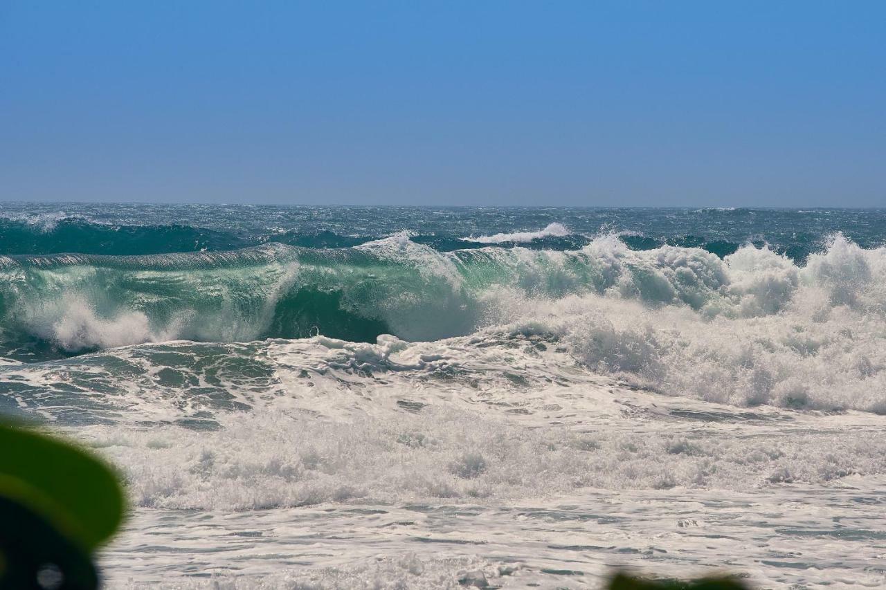Playa Los Angeles Los Naranjos Εξωτερικό φωτογραφία